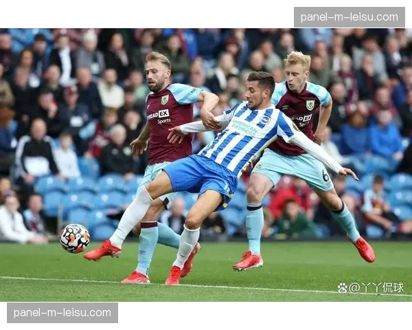 伯恩利0-2不敌布莱顿，积20分位列倒数第二